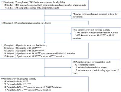 BRAFAMP Frequently Co-occurs With IDH1/2, TP53, and ATRX Mutations in Adult Patients With Gliomas and Is Associated With Poorer Survival Than That of Patients Harboring BRAFV600E